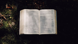 Twój pastor i Biblia: neoortodoksja