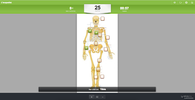 https://www.educaplay.com/en/learningresources/567334/html5/l_esquelet.htm#!