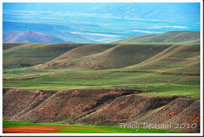 DSC_5677_thumb[11]