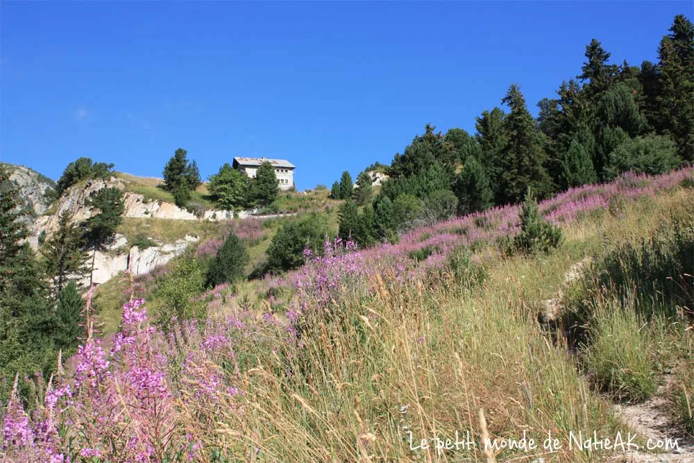 coffret chambre d'hôtes à la montagne