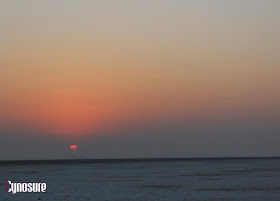 What To Do During Rann Utsav, Detailed Itinerary