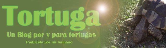 TORTUGA