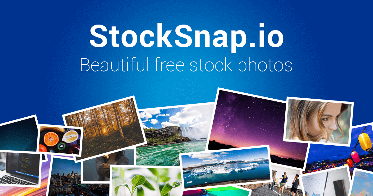 5 Best Sites Which Provides You Free Photos To Use Without Copyright