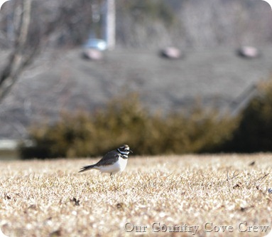 Spring 2013 (1 of 1)-41