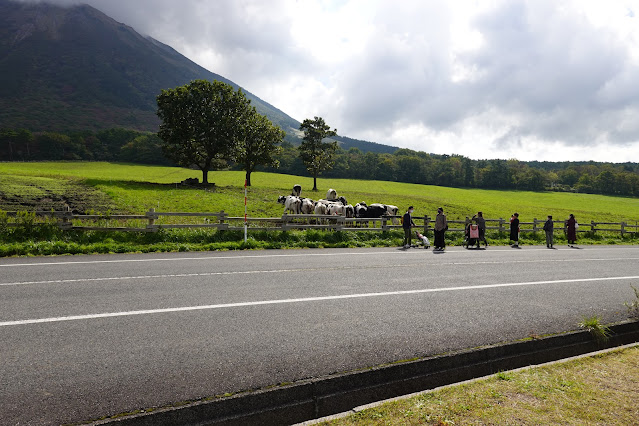 鳥取県西伯郡伯耆町小林　大山まきばみるくの里