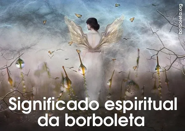 Significado espiritual da borboleta