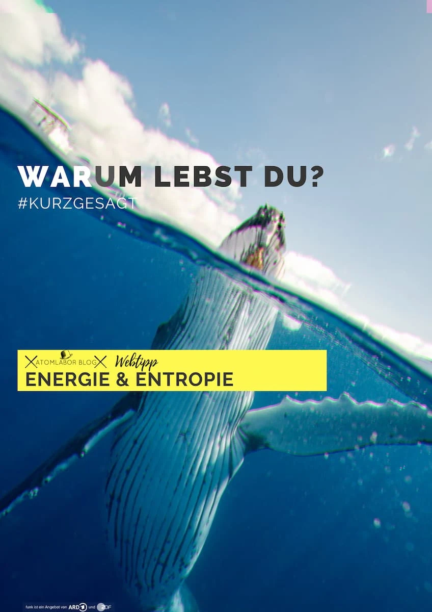 Warum lebst du? | Energie & Entropie | Kurzgesagt – In a Nutshell