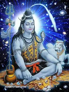 shiv