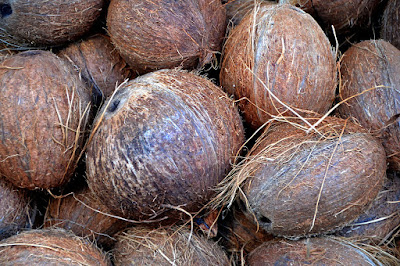 Coconut, Fruits, Drupe