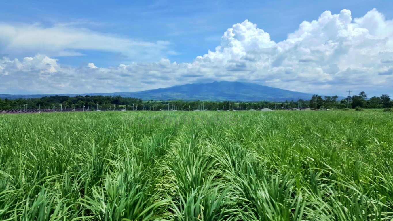 yolanda NHA housing project in Cadiz City Negros Occidental