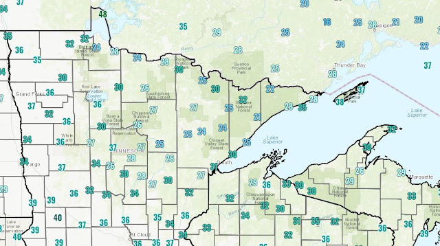 Spring freeze injury to corn in the northern half of Minnesota: What to expect