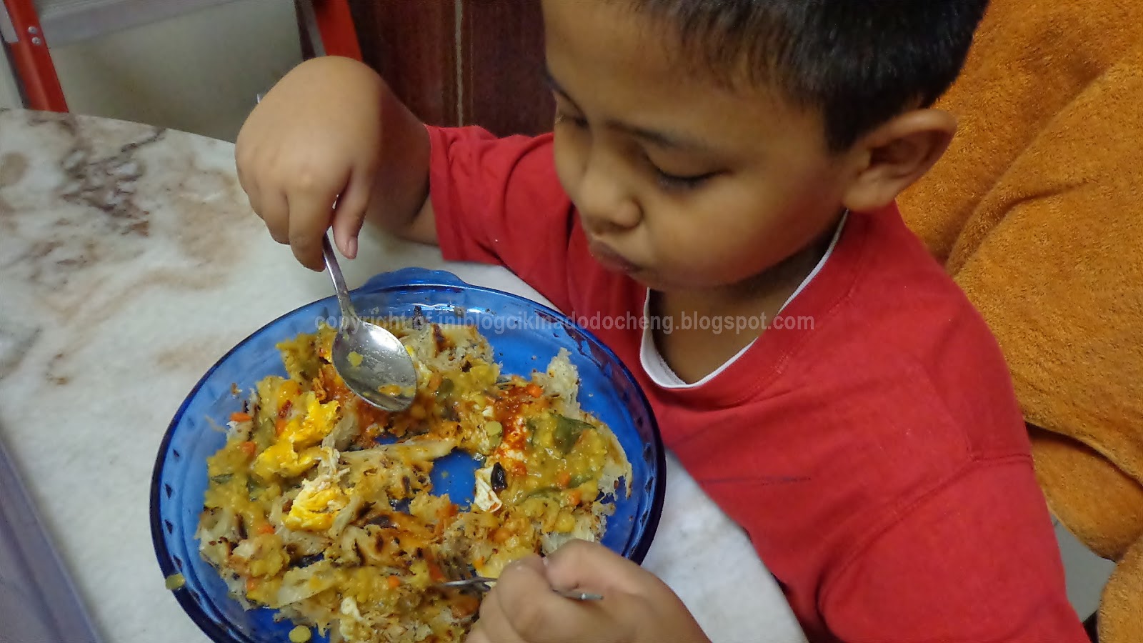 Blog cik ina: Resepi kuah dhal sedap dan mudah; roti canai 