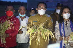 Tingkatkan Produksi Padi Jadi Solusi Ketahanan Pangan di Tanimbar