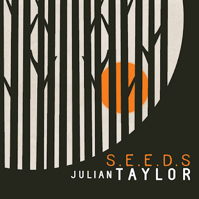 Julian Taylor Shares New Single ‘Seeds’