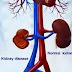 Causes of Kidney Disease