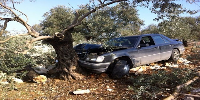 المهدية : إصابة شخص بعد اصطدام سيارته بشجرة