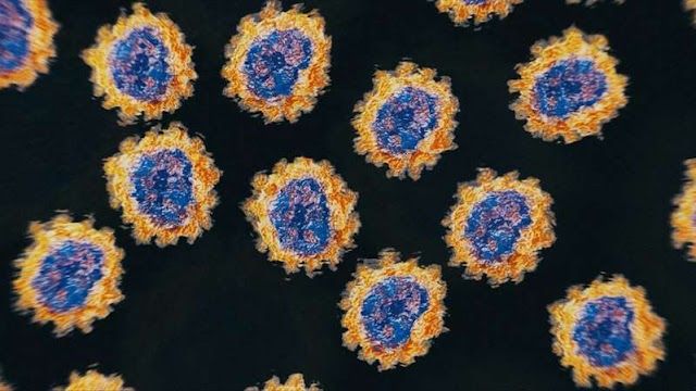 Por qué el SARS-CoV-2 lo tiene difícil para escapar de las vacunas