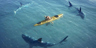 SHARKS CIRCLING A BOAT