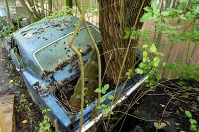 carros antigos abandonados em fazendas