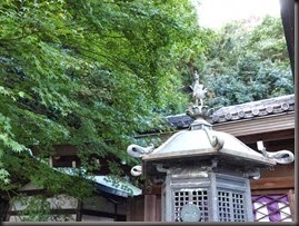 005_E-M1_@17.0mm_F4.0_1／13sec_ISO100
