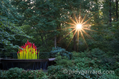 Chihuly Fern Dell Paintbrushes