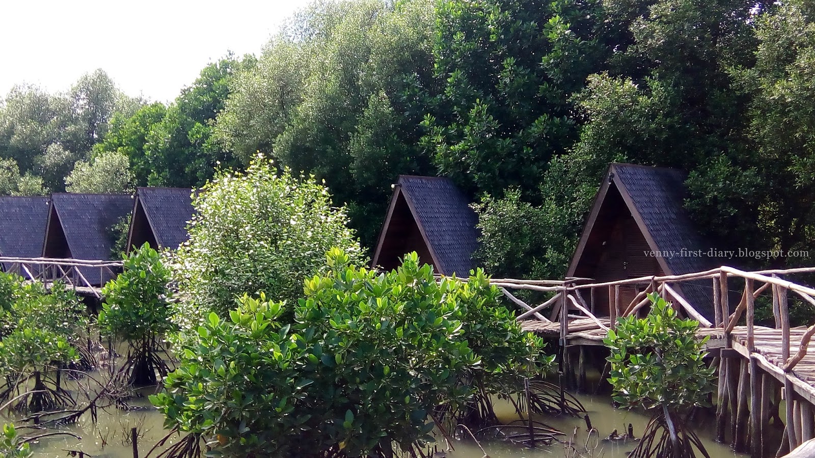 Get Lost 1 Cerita Dari Hutan Mangrove Venny Firstyani