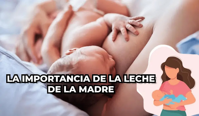 LA IMPORTANCIA DE LA LECHE DE LA MADRE