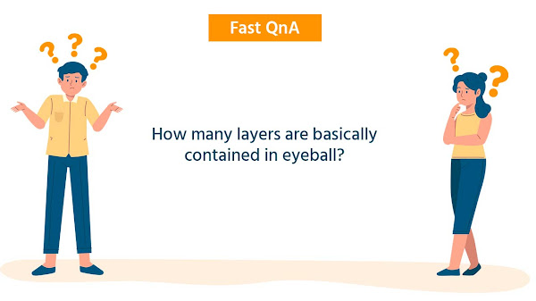 How many layers are basically contained in eyeball?