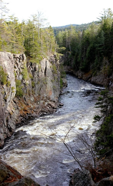 West Branch gorge