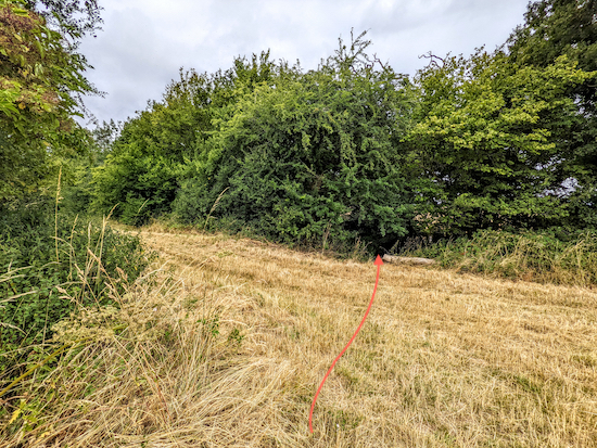 Cut through the hedgerow on Hatfield footpath 54 to reach a junction