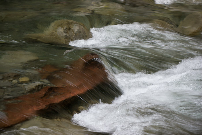 Pourangaki River and rata log