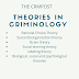 Theories in Criminology