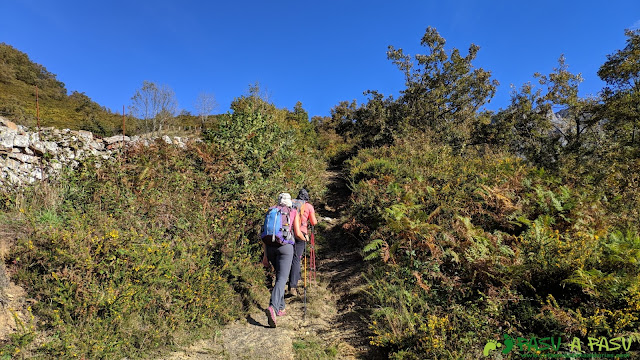 Sendero entre fincas hacia el Pico Formoso