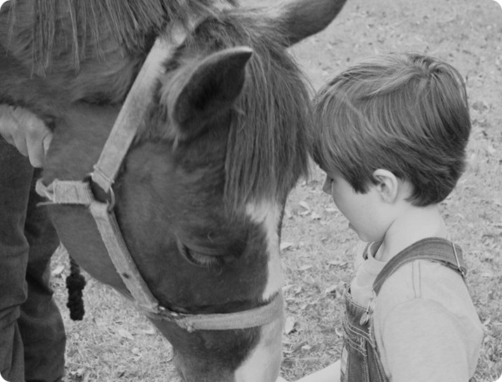 feeding