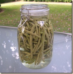 fermenting beans