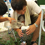 120801_vs_151.JPG