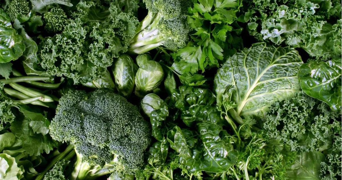 Study: Eating leafy greens reduces bone fracture risk among the elderly