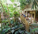 Jungle Cabana Het Heijderbos