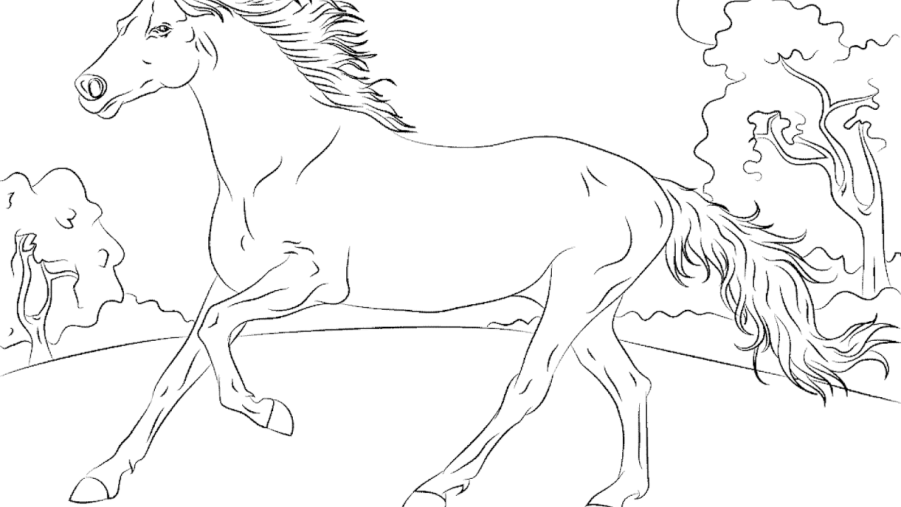 Equine coat color Horse
