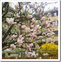 20140322_104105