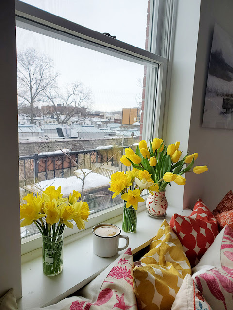 February windowsill