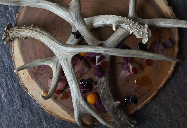 image of Roasted Venison With Cranberry Sauce by Naoko Takagi