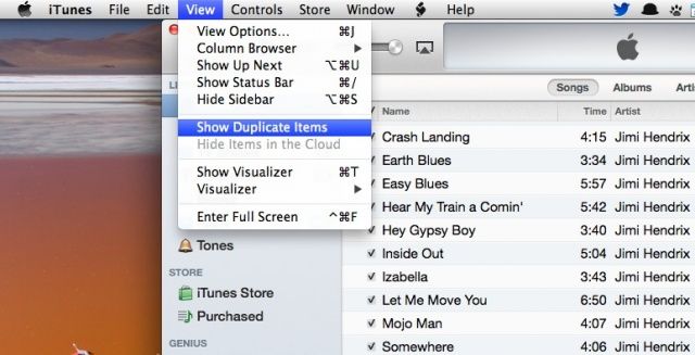 delete iTunes duplicate songs