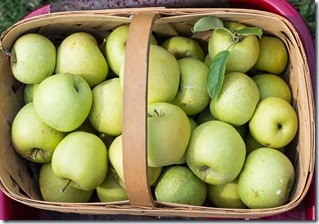 IMG_9769 IMG_9769