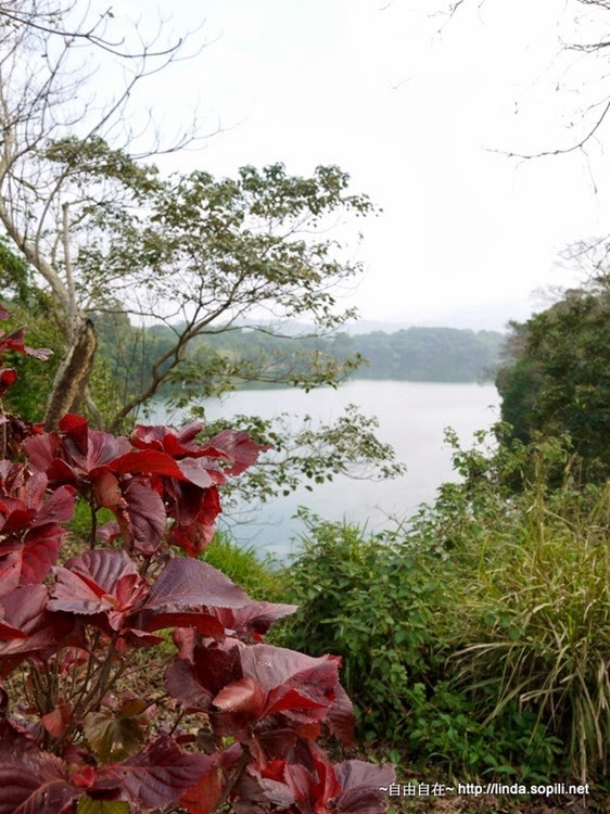 P1050696