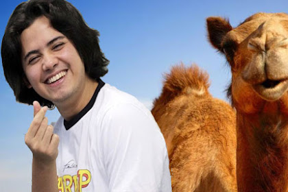 Warkop DKI Reborn, Kisah Aliando Dan Unta