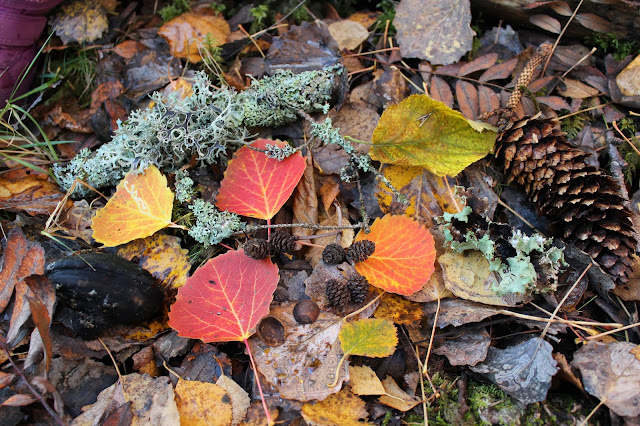 autumn colors