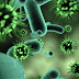 5 Virus Paling Mematikan Di Dunia