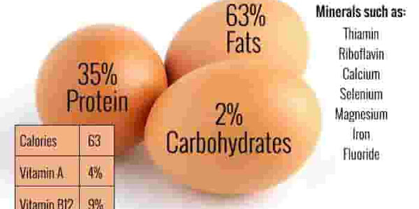 Egg Effects | ഒരു ദിവസം എത്ര മുട്ടകൾ കഴിക്കണം, അമിതമായാൽ ആരോഗ്യത്തിന് ദോഷകരമാണോ? അറിയാം കൂടുതൽ