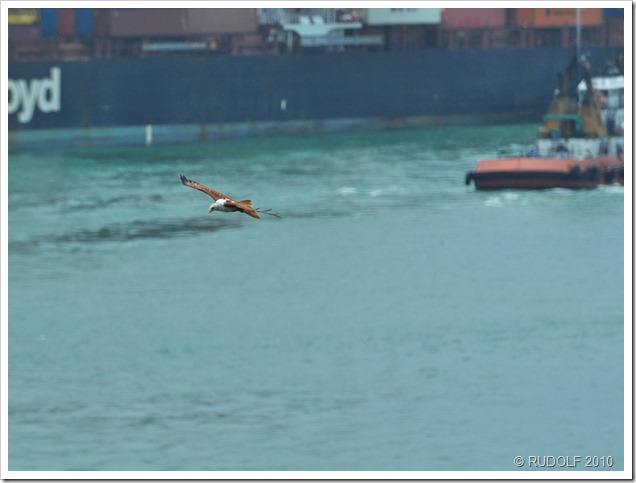20100717 CMB 3791-2